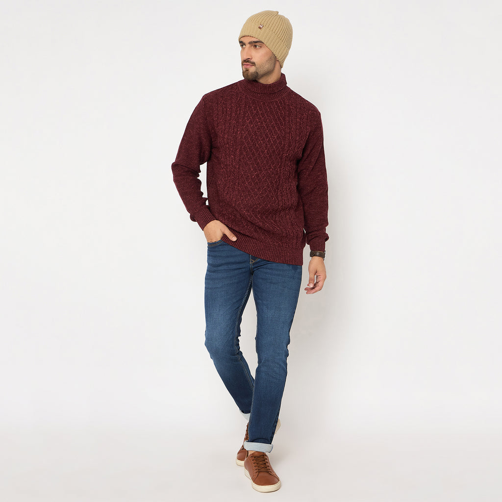Duke Urban Men Full Sleeve High Neck Sweater (SDS2273)