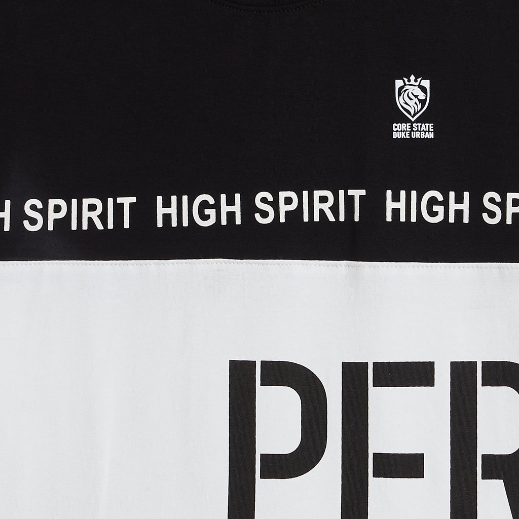 Duke Urban Boys Half Sleeve Tshirt & Bermuda Set (LF6042)