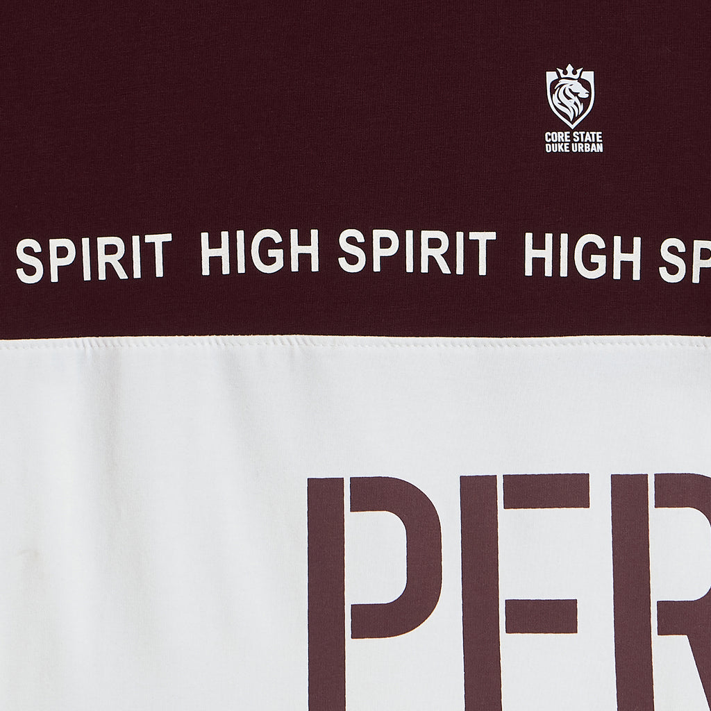 Duke Urban Boys Half Sleeve Tshirt & Bermuda Set (LF6042)