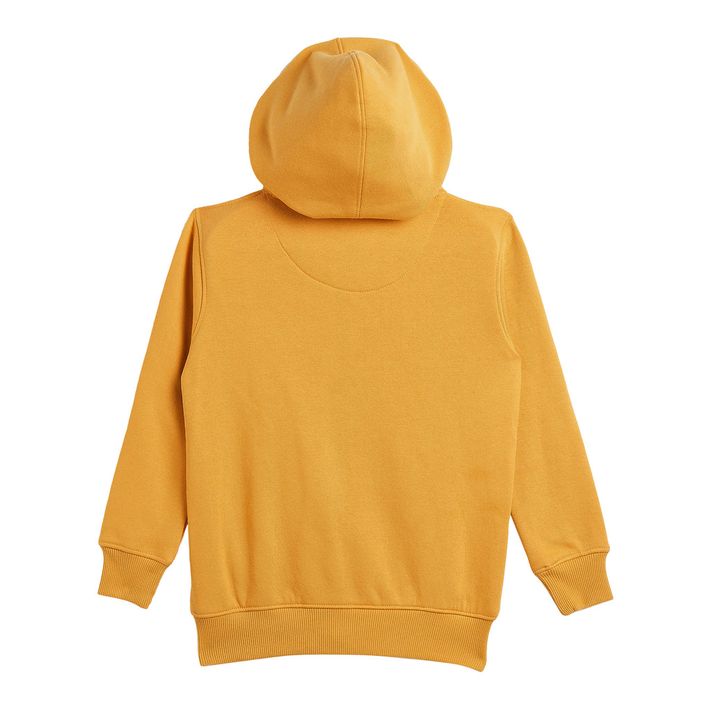 Duke Urban Boys Hooded Neck Sweatshirt (LF315)
