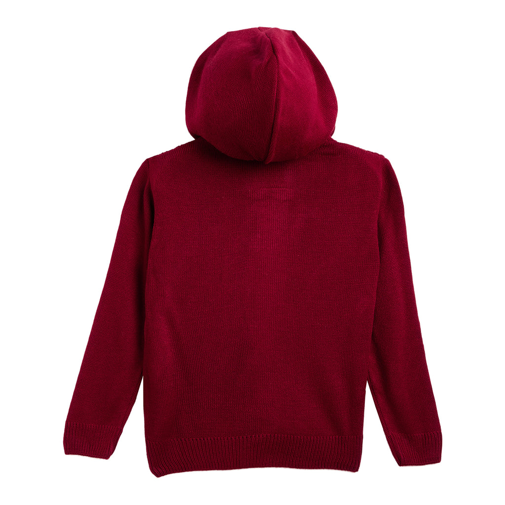 Duke Urban Boys Hooded Neck Sweater (SDS3579)