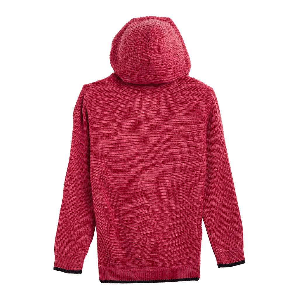 Duke Urban Boys Hooded Neck Sweater (SDS3574)