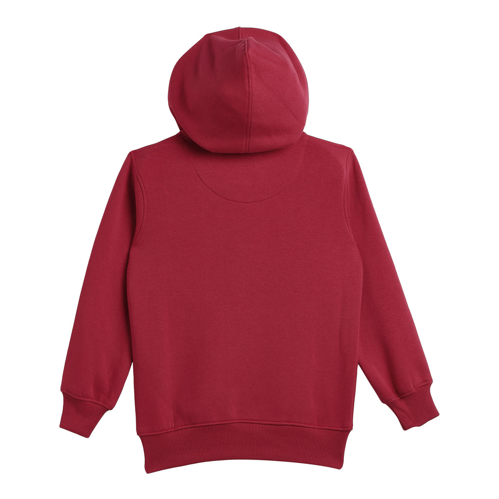 Duke Urban Boys Hooded Neck Sweatshirt (LF315)