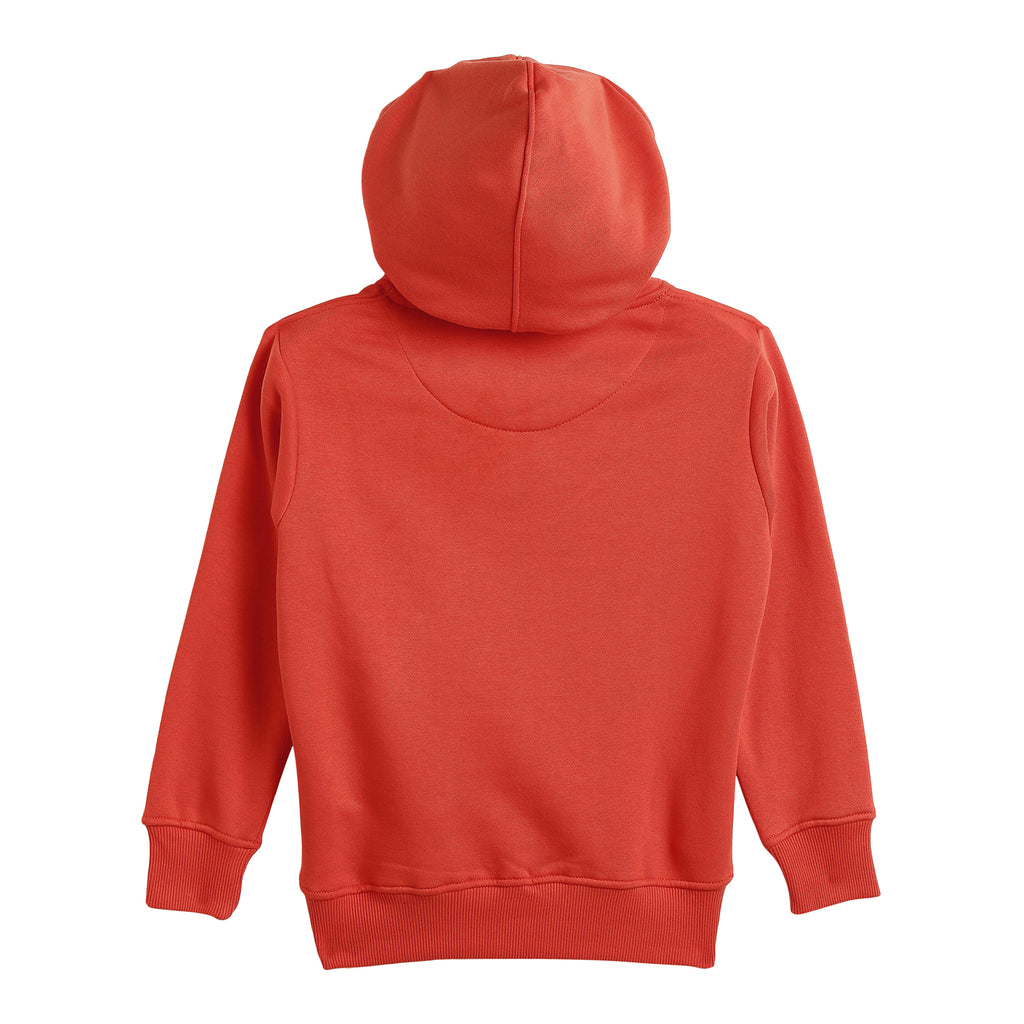 Duke Urban Boys Hooded Neck Sweatshirt (LF291)