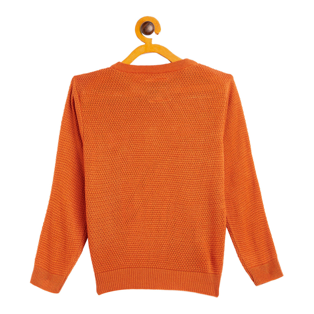 Duke Urban Boys Round Neck Sweater (SDS3561)