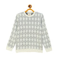 Duke Urban Boys Round Neck Full Sleeve Regular Sweater (S3613)