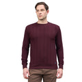 Duke Urban Men Round Neck Full Sleeve Sweatshirt (LF6492)