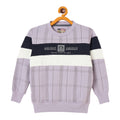 Duke Urban Boys Full Sleeve Hooded Sweatshirt (LF394)