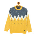 Duke Urban Boys Round Neck Full Sleeve Regular Sweater (S3626)