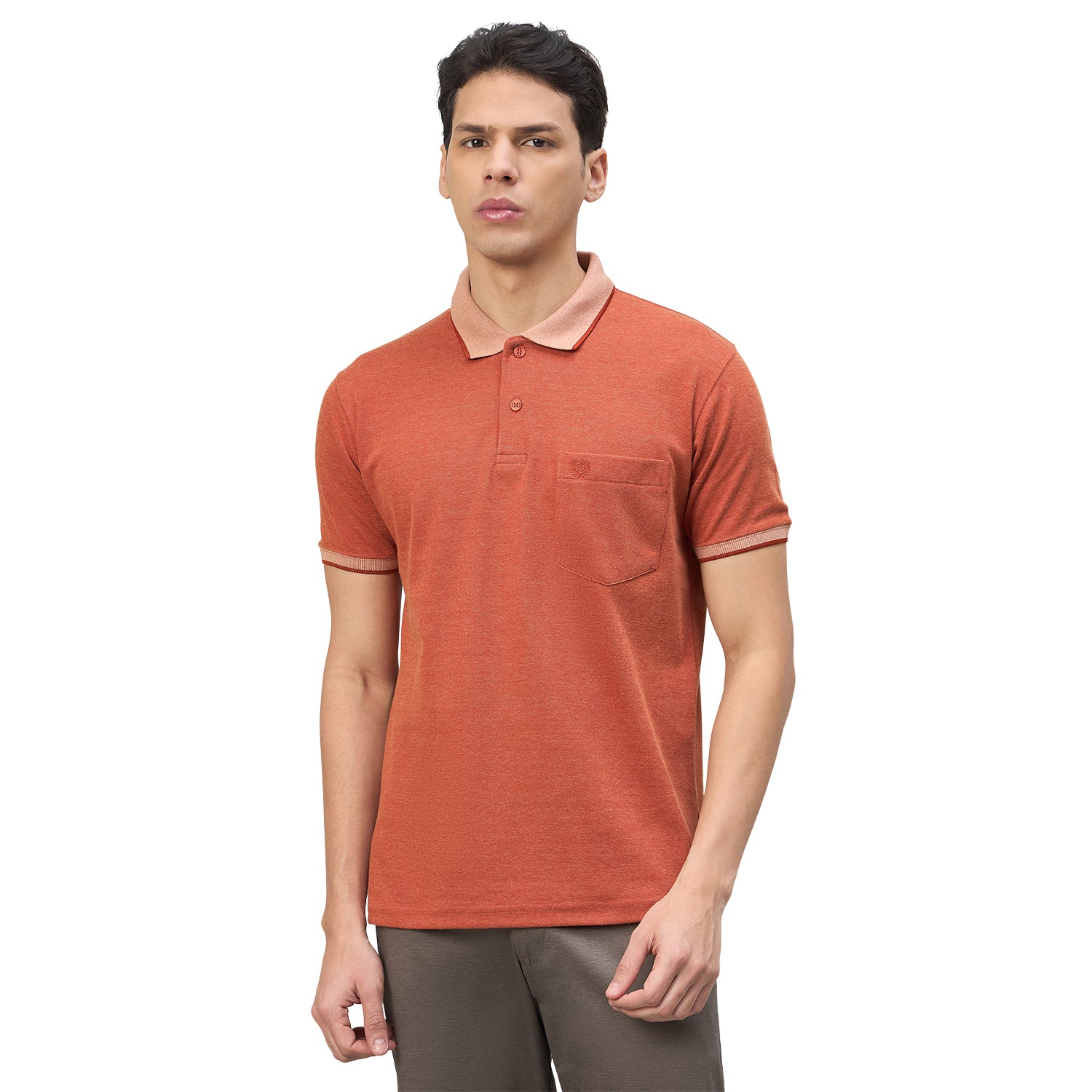 Duke Urban Men Half Sleeve Cotton Polo Tshirt (SD67)