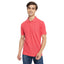 Duke Stardust Men Half Sleeve Cotton T-shirt (SDSP0762)