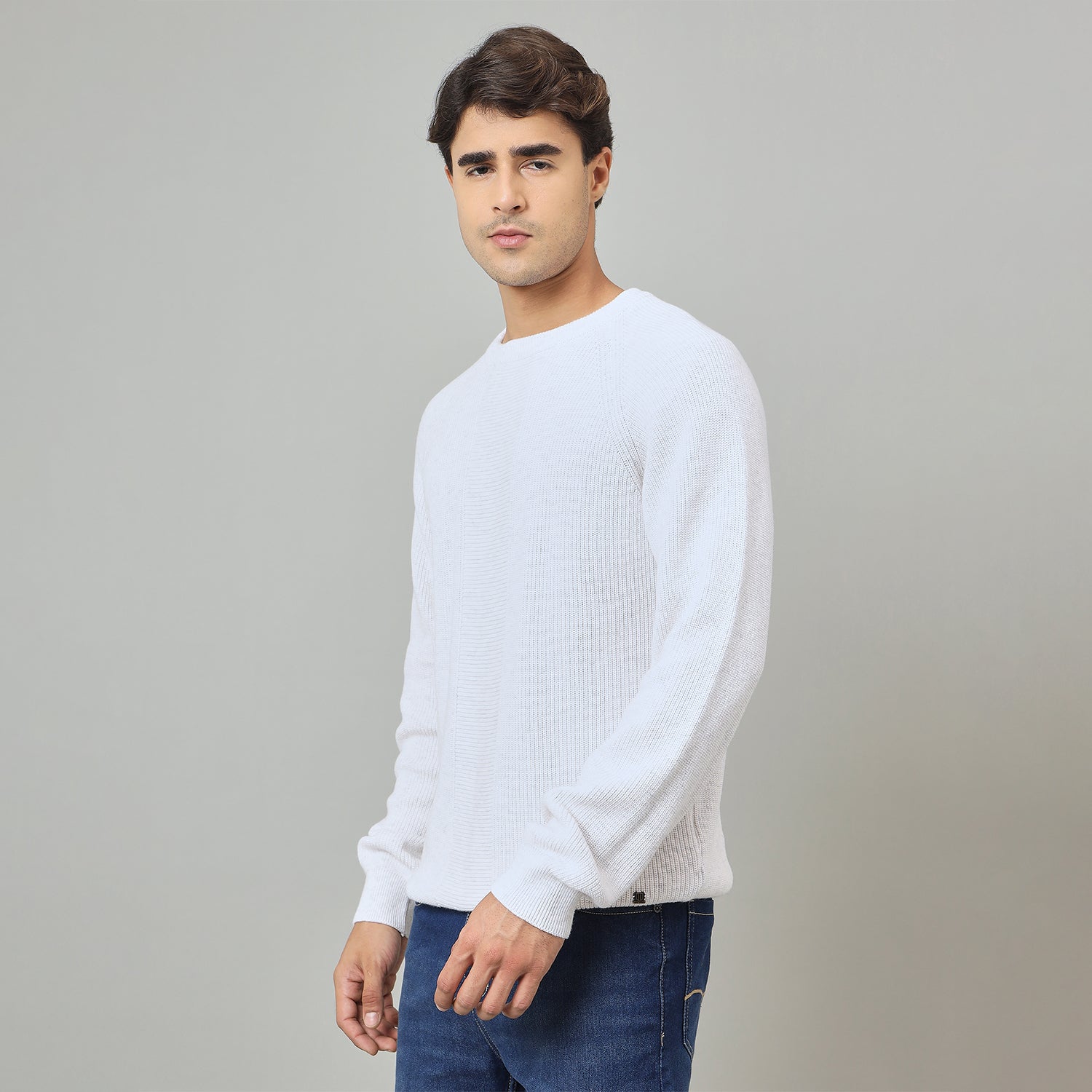 Duke Urban Men Full Sleeve Classic round neck sweater (SDS2217)