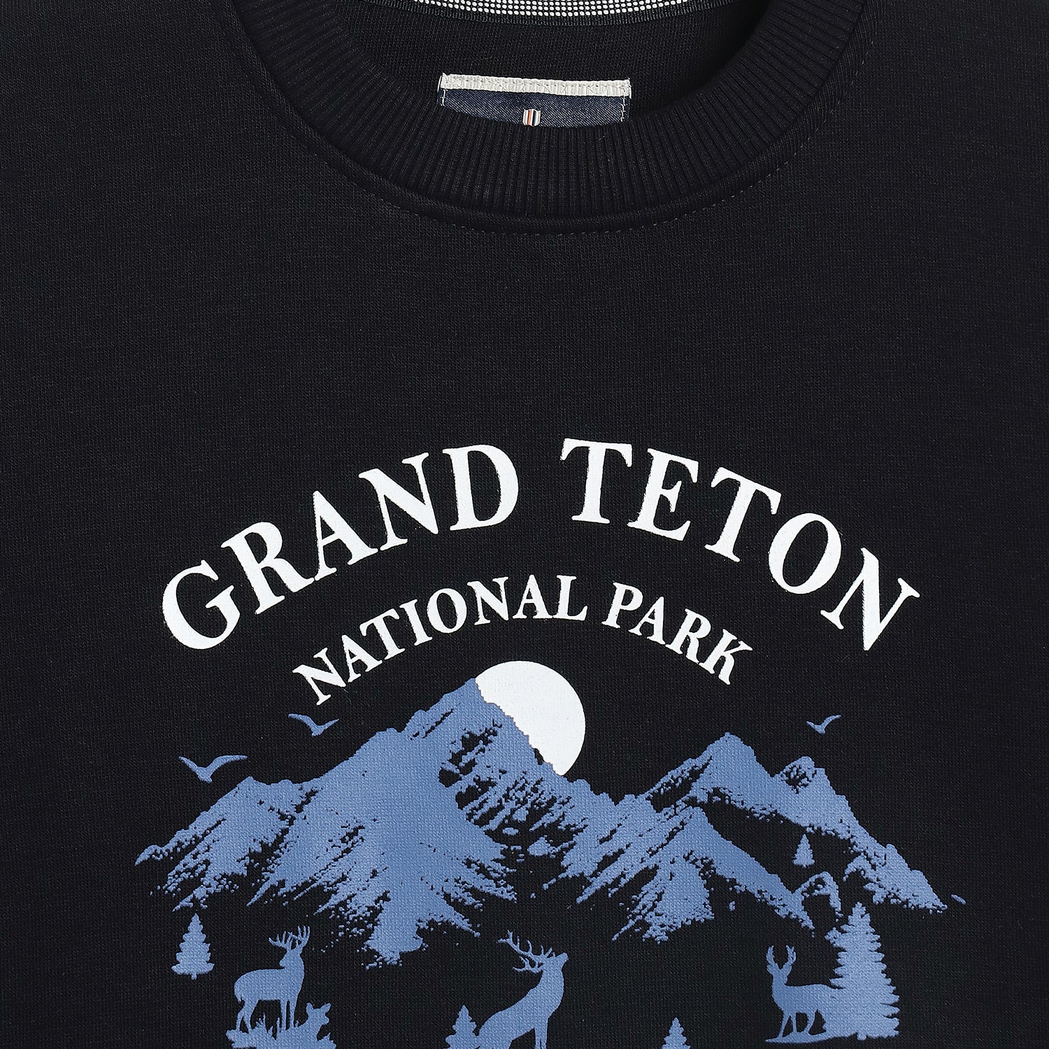 Duke Urban Boys Full Sleeve Round Neck Printed Sweatshirt (LF380)