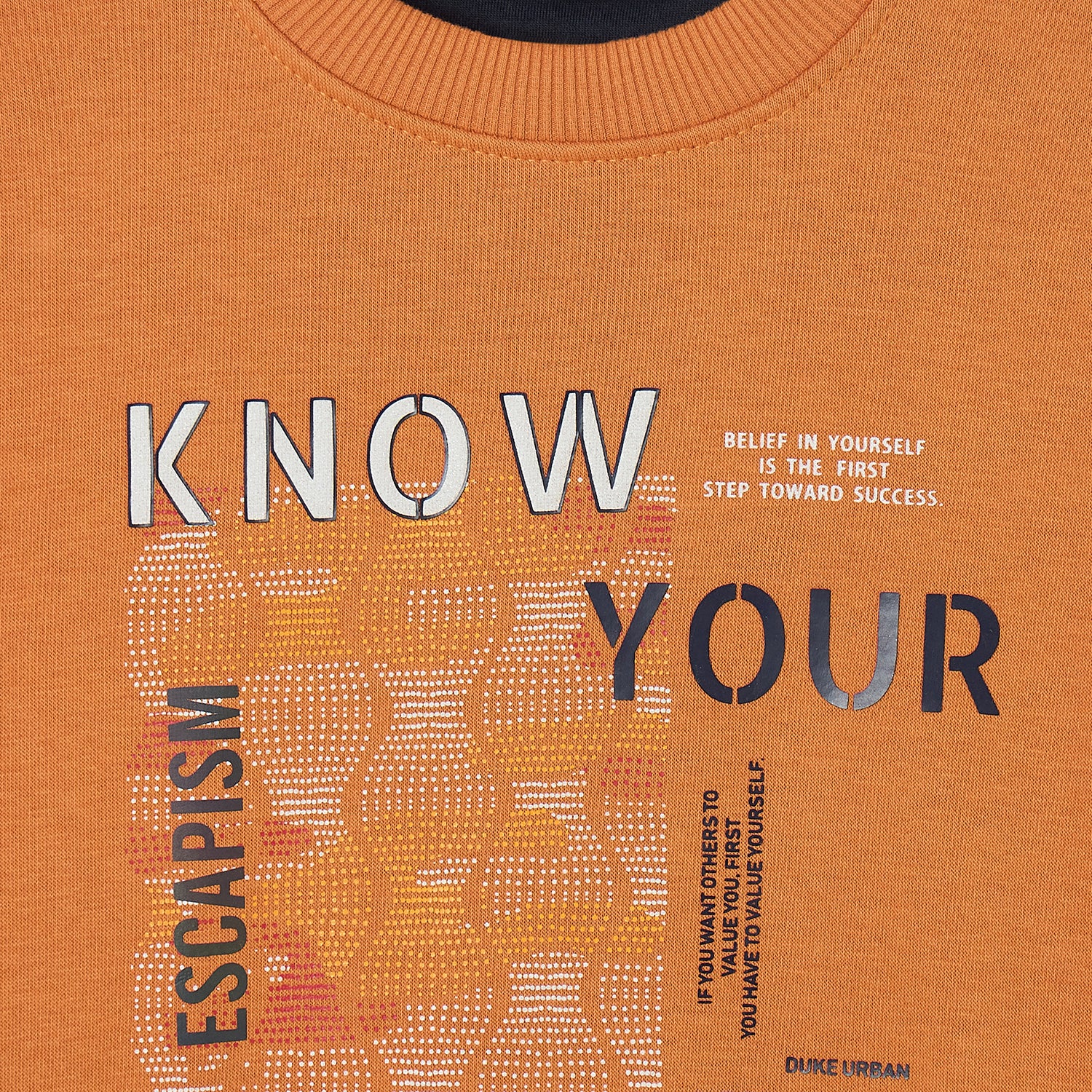 Duke Urban Boys Full Sleeve Round Neck Sweatshirt (LF385)