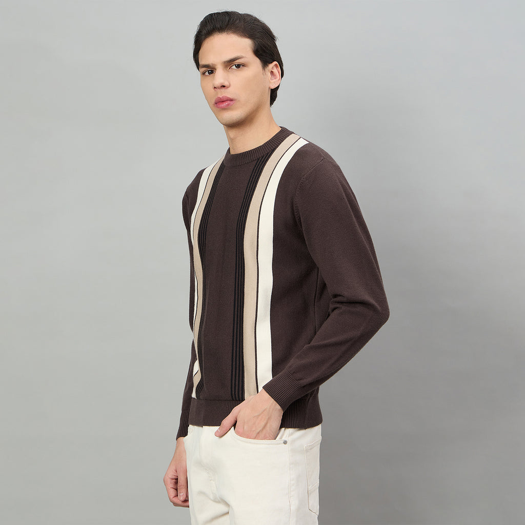 Duke Urban Men Round Neck Full Sleeve Regular Sweater (SDS2329)