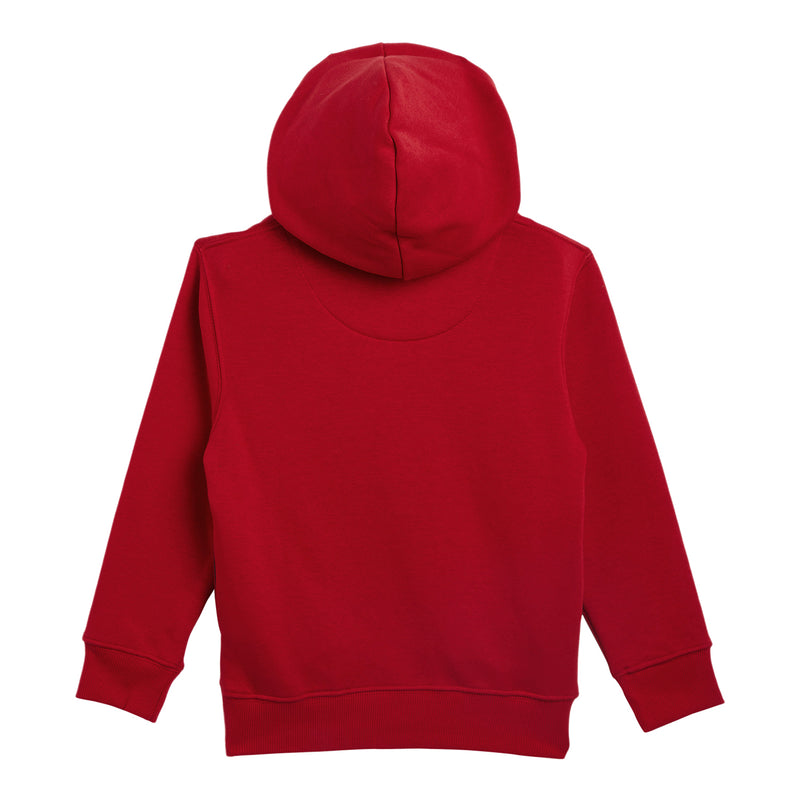 Duke Urban Boys Hooded Sweatshirt (LF257)