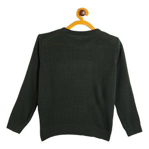 Duke Stardust Boys Round Neck Sweater (SDS3561)