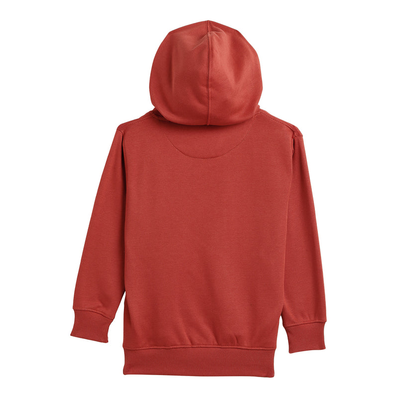 Duke Urban Boys Hooded Neck Sweatshirt (LF271)