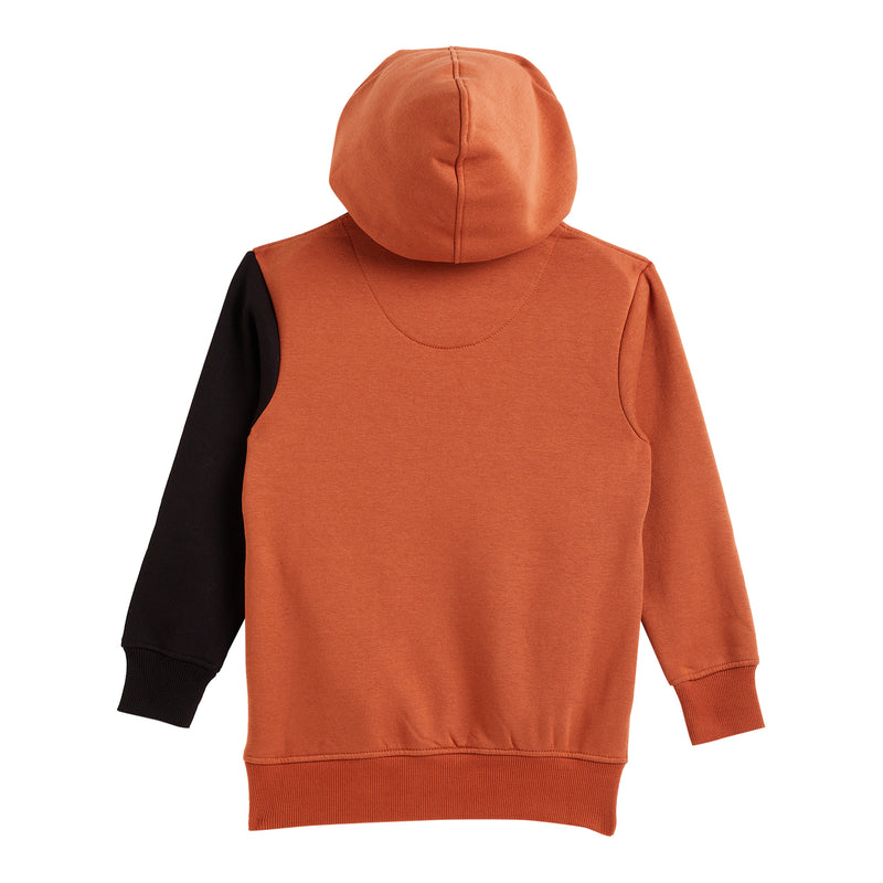 Duke Urban Boys Hooded Neck Sweatshirt (LF316)
