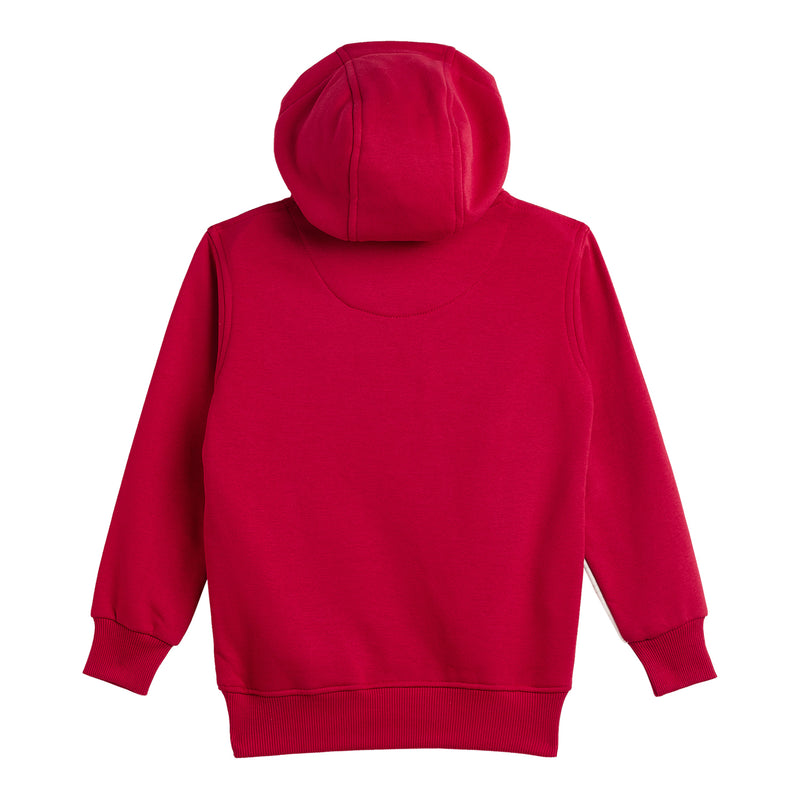 Duke Urban Boys Hooded Sweatshirt (LF226)