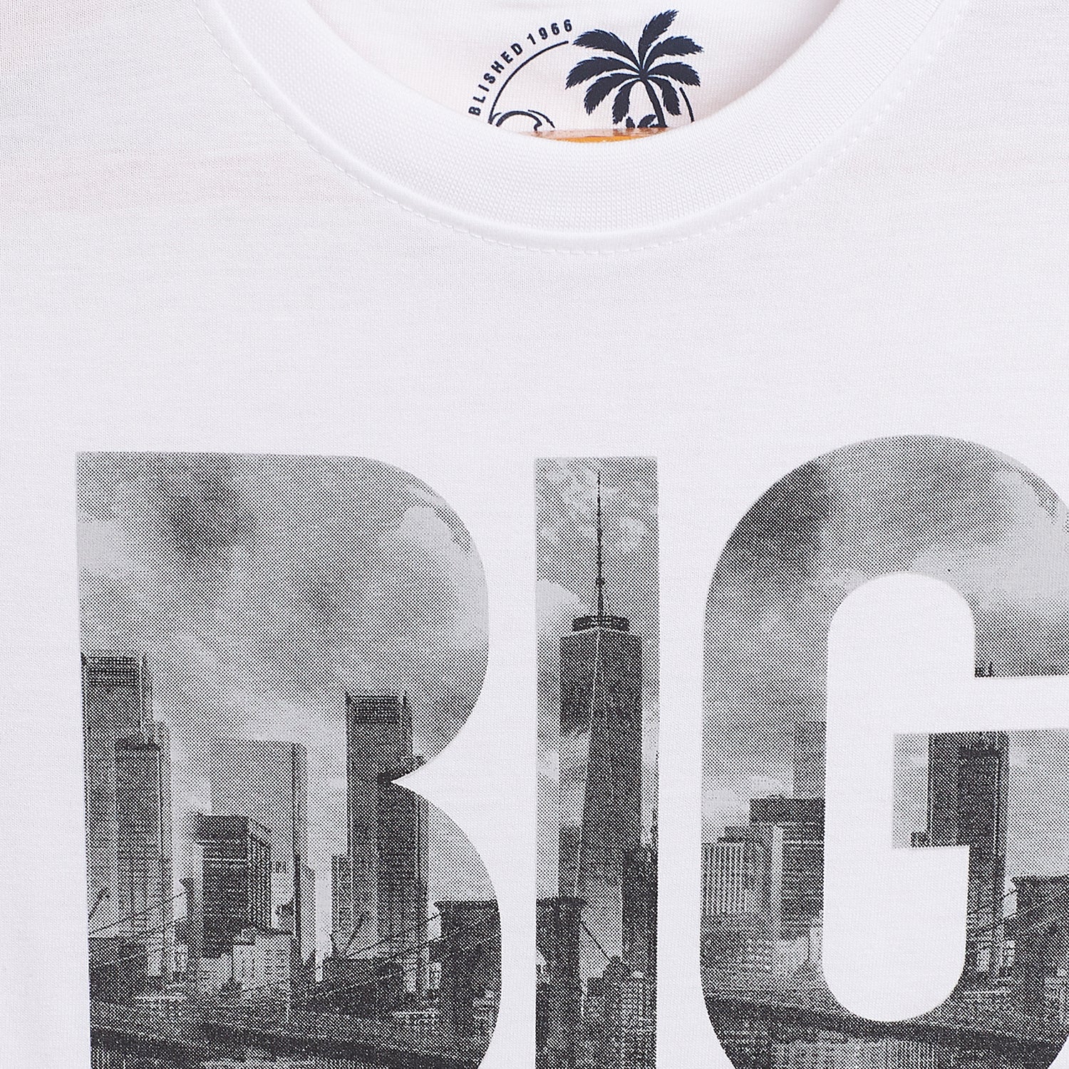 Duke Urban Boys Half Sleeve Cotton T-shirt (LF614)